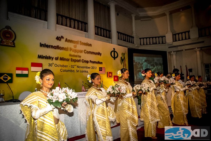 9-opening-ceremony.jpg